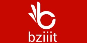 Logo-bziiit-avec-le-nom